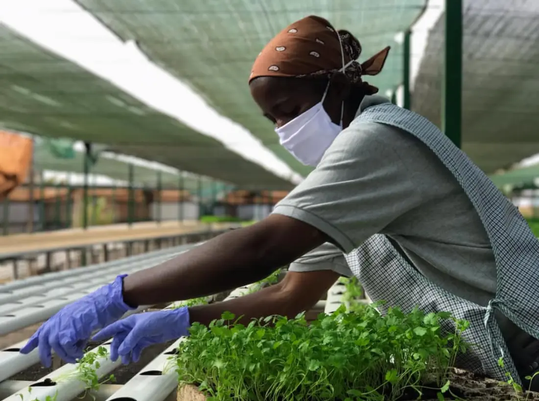 Organic Farm Experience